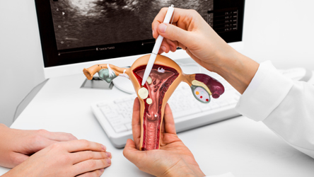 Embryology Laboratory Fellowship
