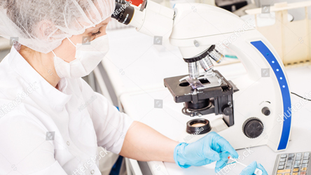 IMA-AMS Fellowship in Andrology & Sexual Medicine